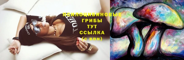 ПСИЛОЦИБИНОВЫЕ ГРИБЫ Зеленодольск