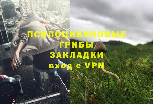 ПСИЛОЦИБИНОВЫЕ ГРИБЫ Зеленодольск