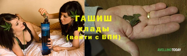 ПСИЛОЦИБИНОВЫЕ ГРИБЫ Зеленодольск
