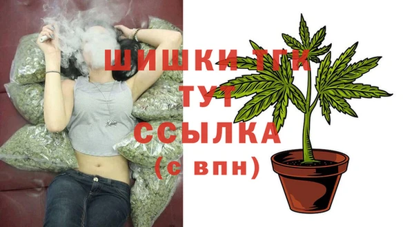 ПСИЛОЦИБИНОВЫЕ ГРИБЫ Зеленодольск