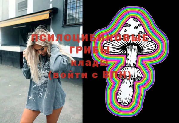 ПСИЛОЦИБИНОВЫЕ ГРИБЫ Зеленодольск