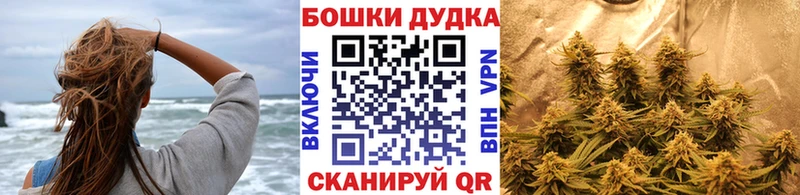 Купить  Белая Калитва  Бошки Шишки сатива 